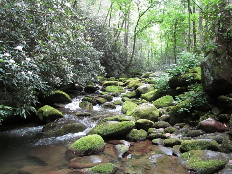 Smoky Mountains, Tennessee