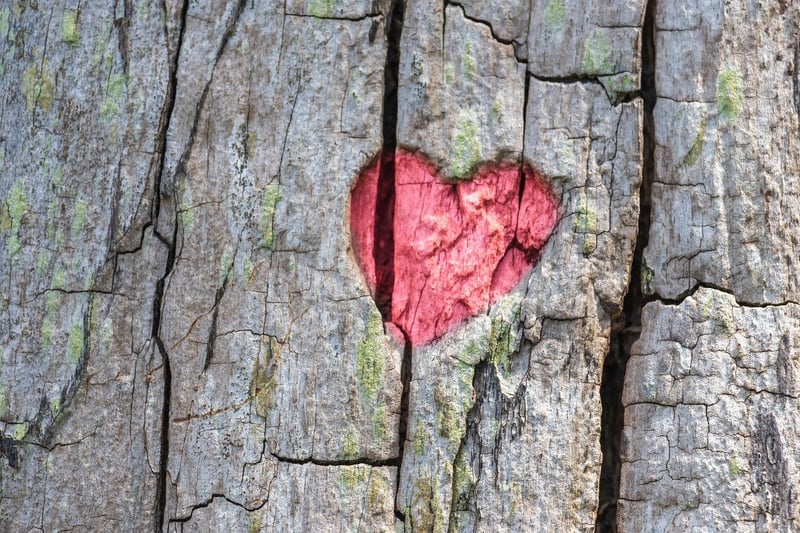 Heartfelt Vows